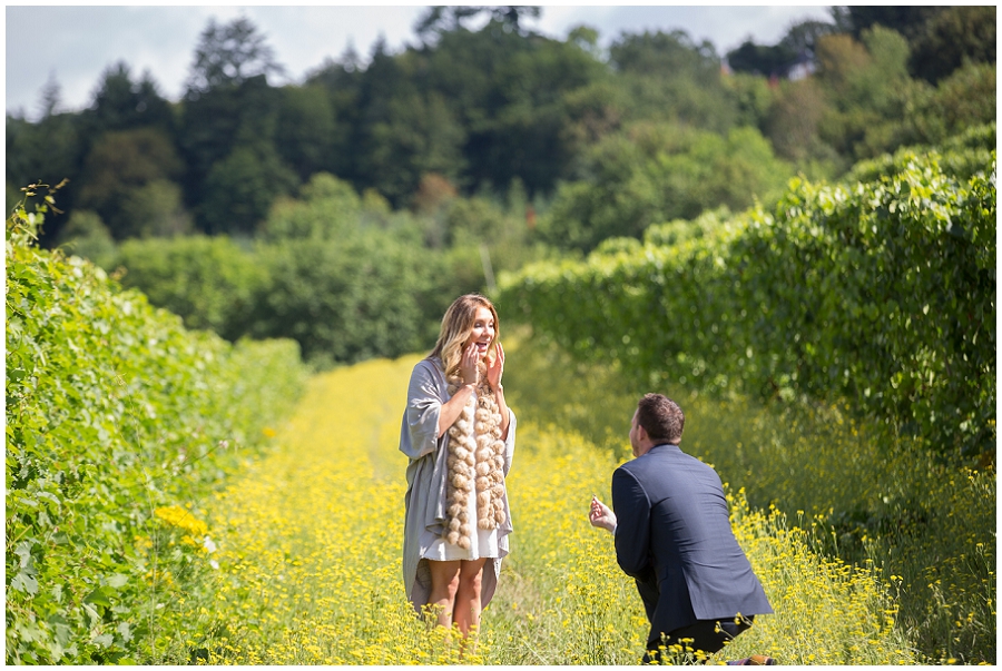 Wedding Proposal at Rex Hill Winery-26.jpg