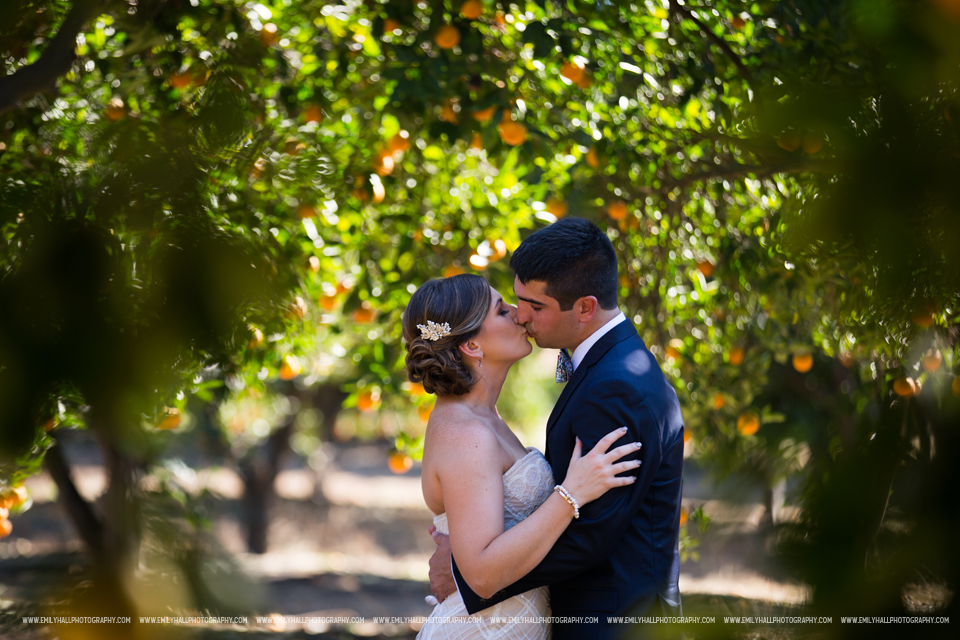 Tom anddd Sarah-6972 copy.png