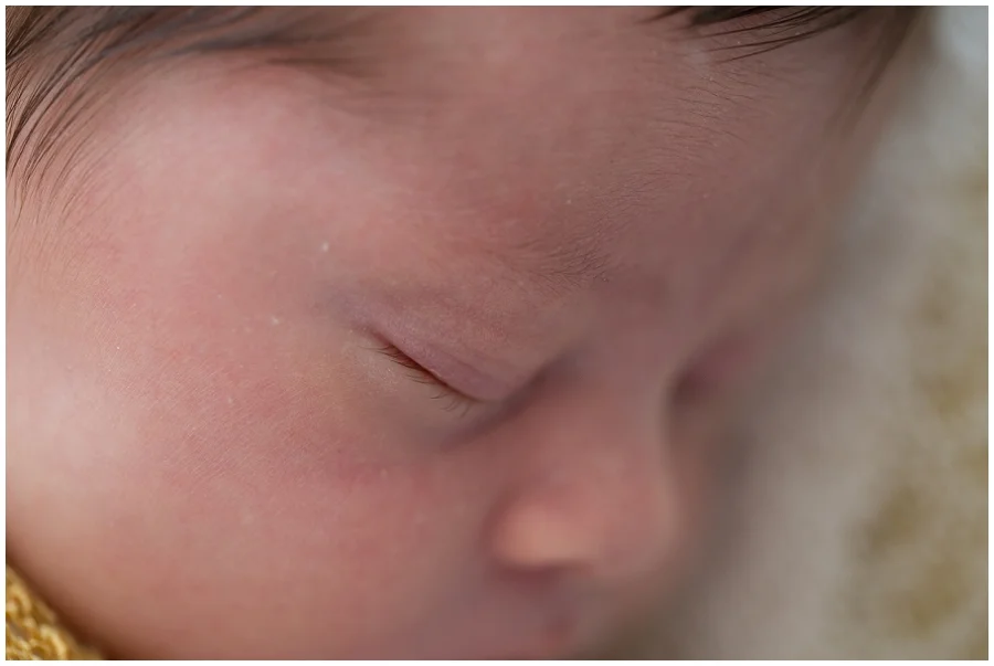 Albany Newborn Photographer-2995.jpg