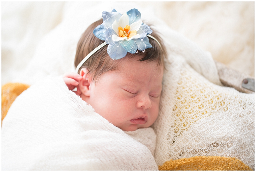 Albany Newborn Photographer-3007.jpg