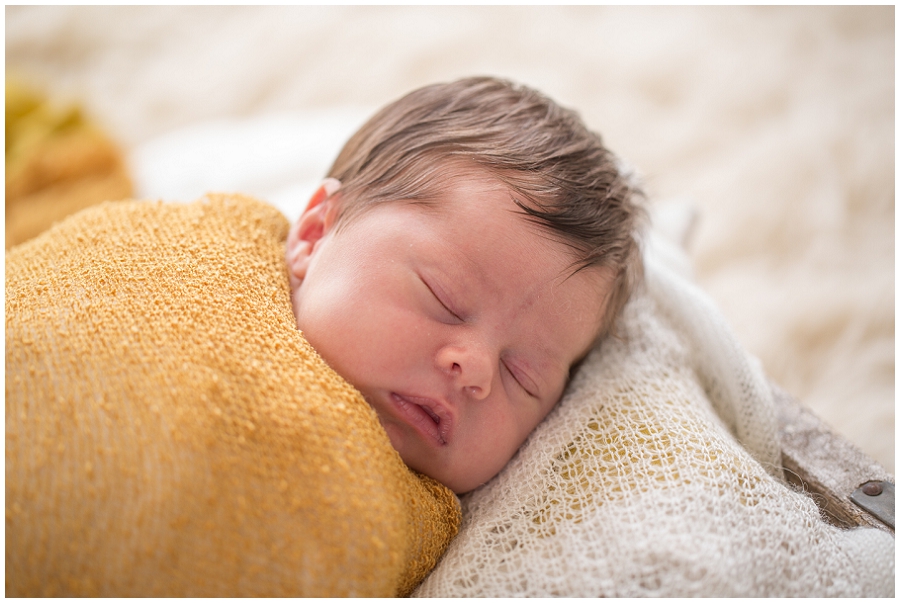 Albany Newborn Photographer-2994.jpg