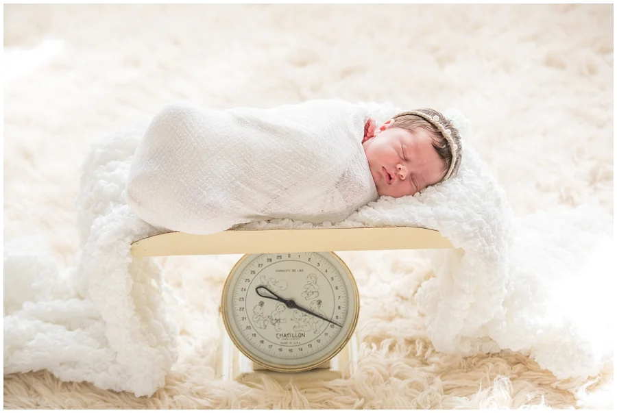 Albany Newborn Photographer-2965.jpg