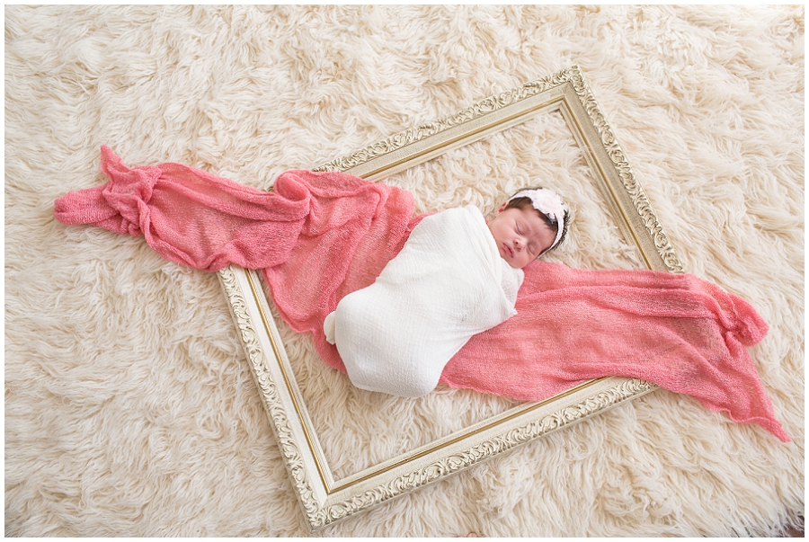 Albany Newborn Photographer-2955.jpg