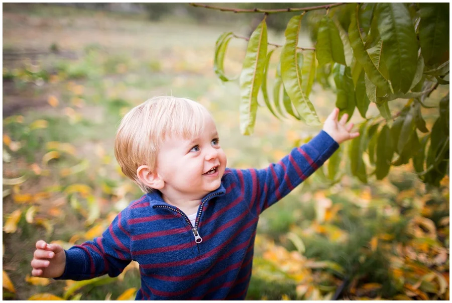 Stayton Family Photographer-7989.JPG