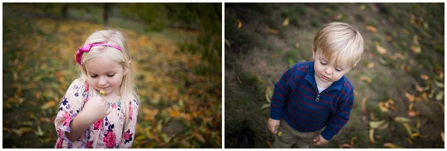 Stayton Family Photographer-7955.JPG