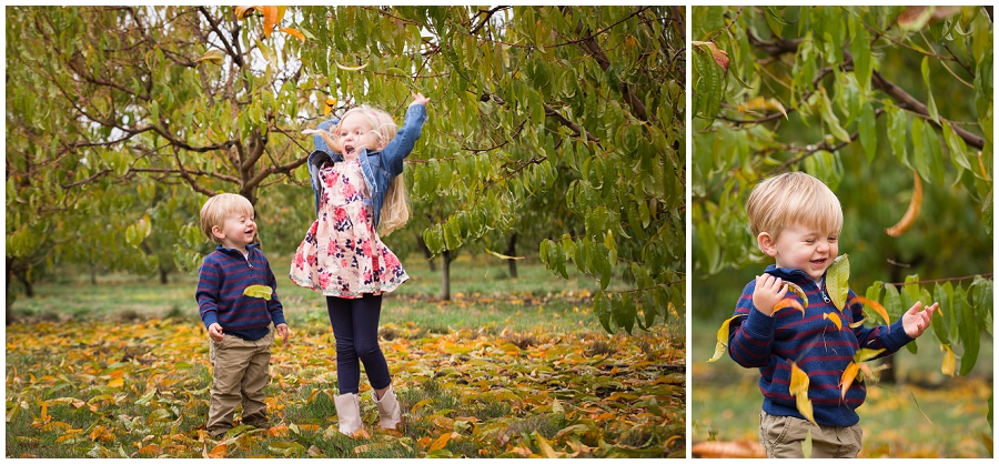 Stayton Family Photographer-8096.JPG