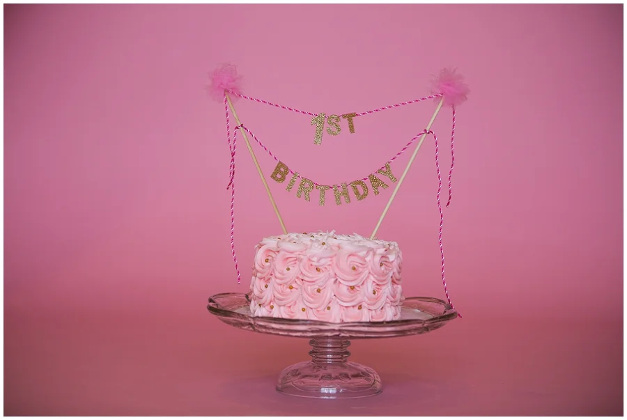 First Birthday Photographer-1200.JPG