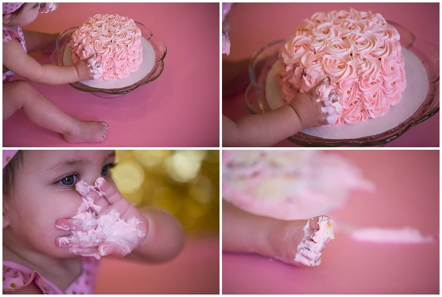 First Birthday Photographer-1248.JPG