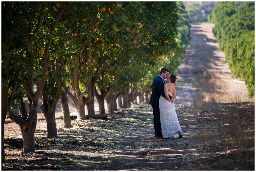 Backyard Wedding Photographer-185.JPG