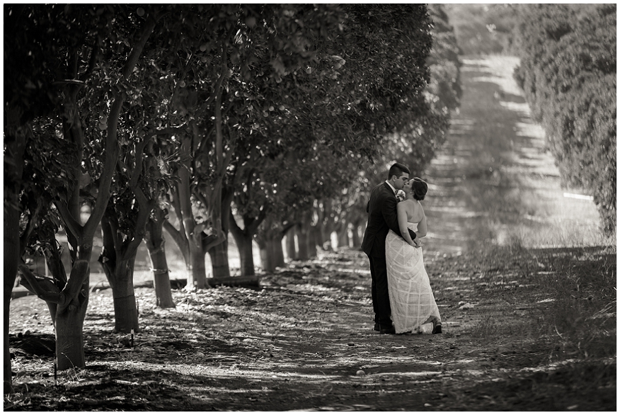 Backyard Wedding Photographer-186.JPG
