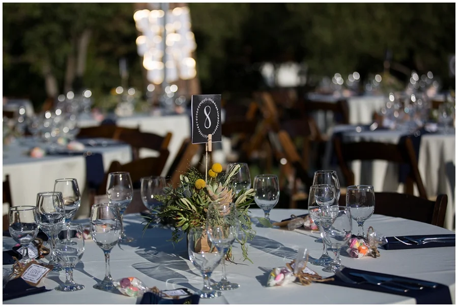 Backyard Wedding Photographer-503.JPG