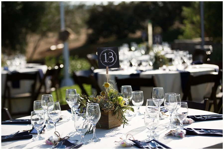Backyard Wedding Photographer-508.JPG