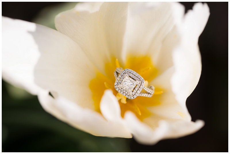 portland engagement and wedding photographer-7521.JPG