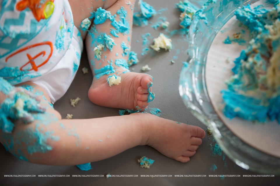 Emily Hall Photography - Daxton's 1st Birthday-102 copy.png