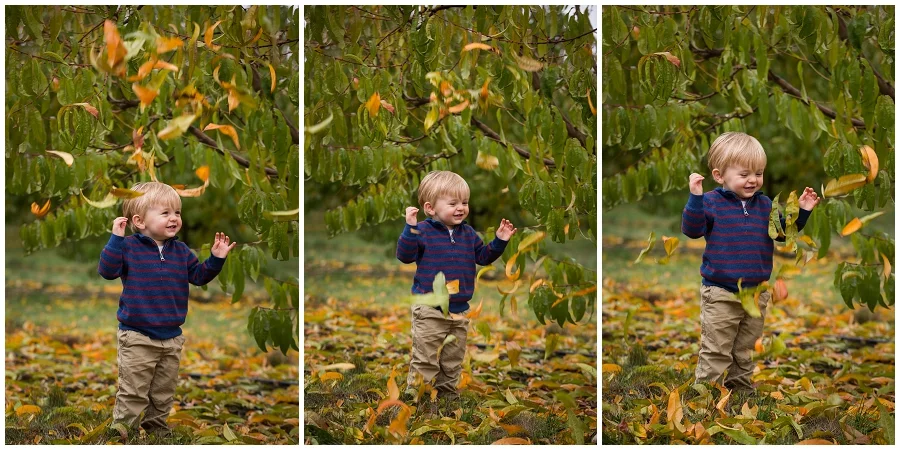 Stayton Family Photographer-8111.JPG