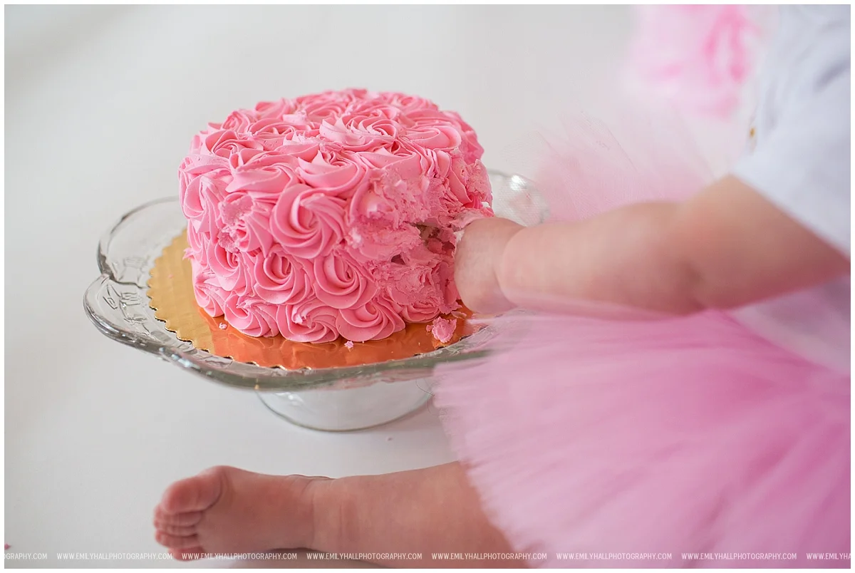 Albany Oregon Cake Smash Photographer-4881.JPG