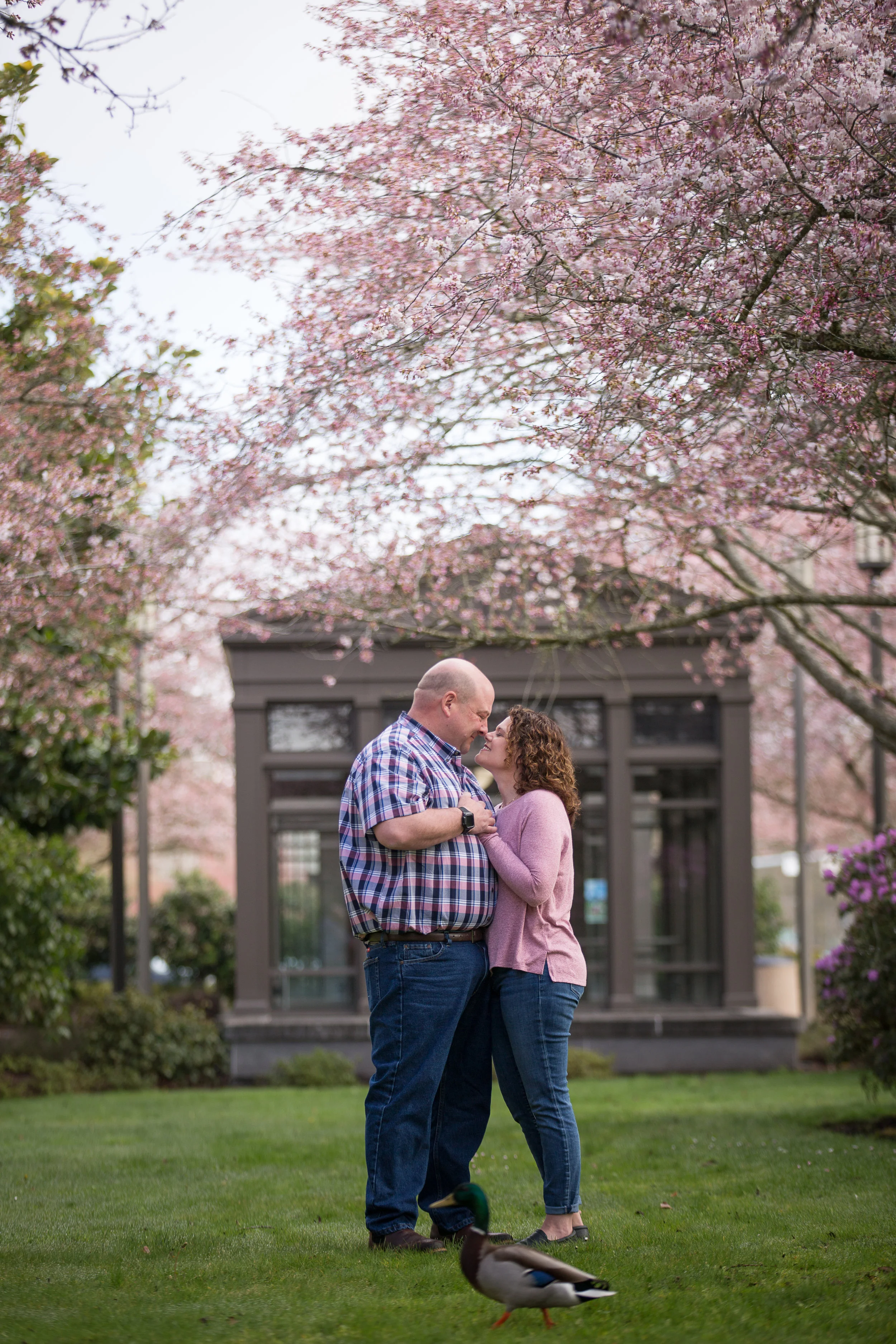 Cherry Blossom Portraits-5177.JPG