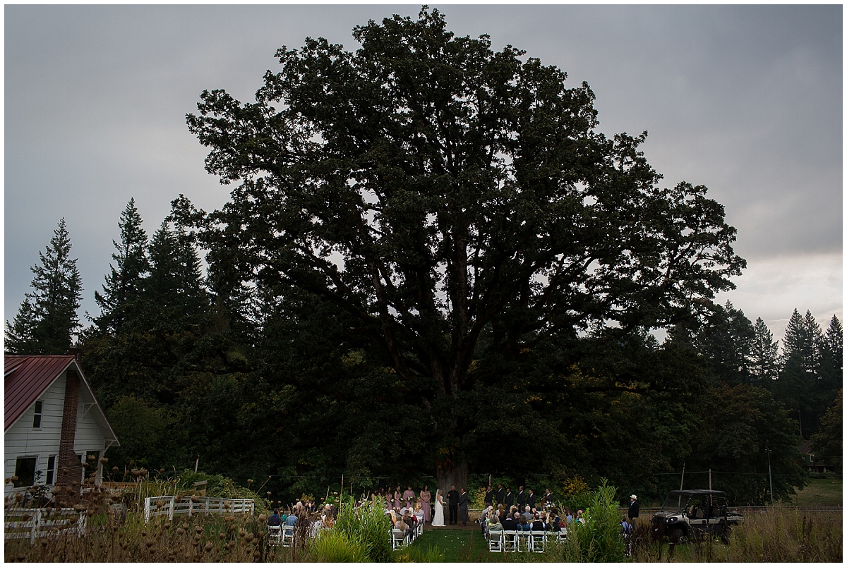 Adeline Farm Wedding-3768.JPG