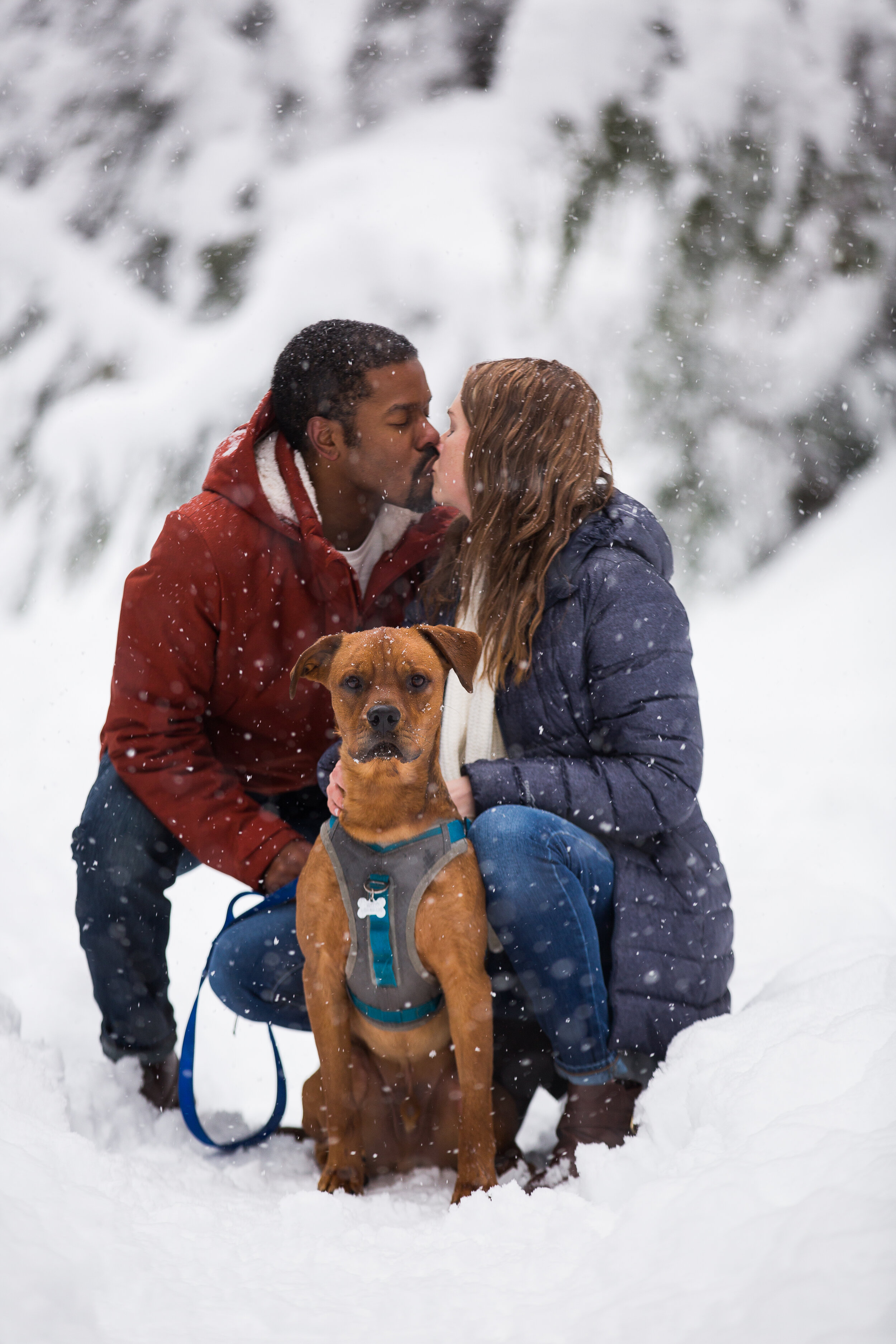 Emily Hall Photography - Snow Engagement Pictures-3538.jpg