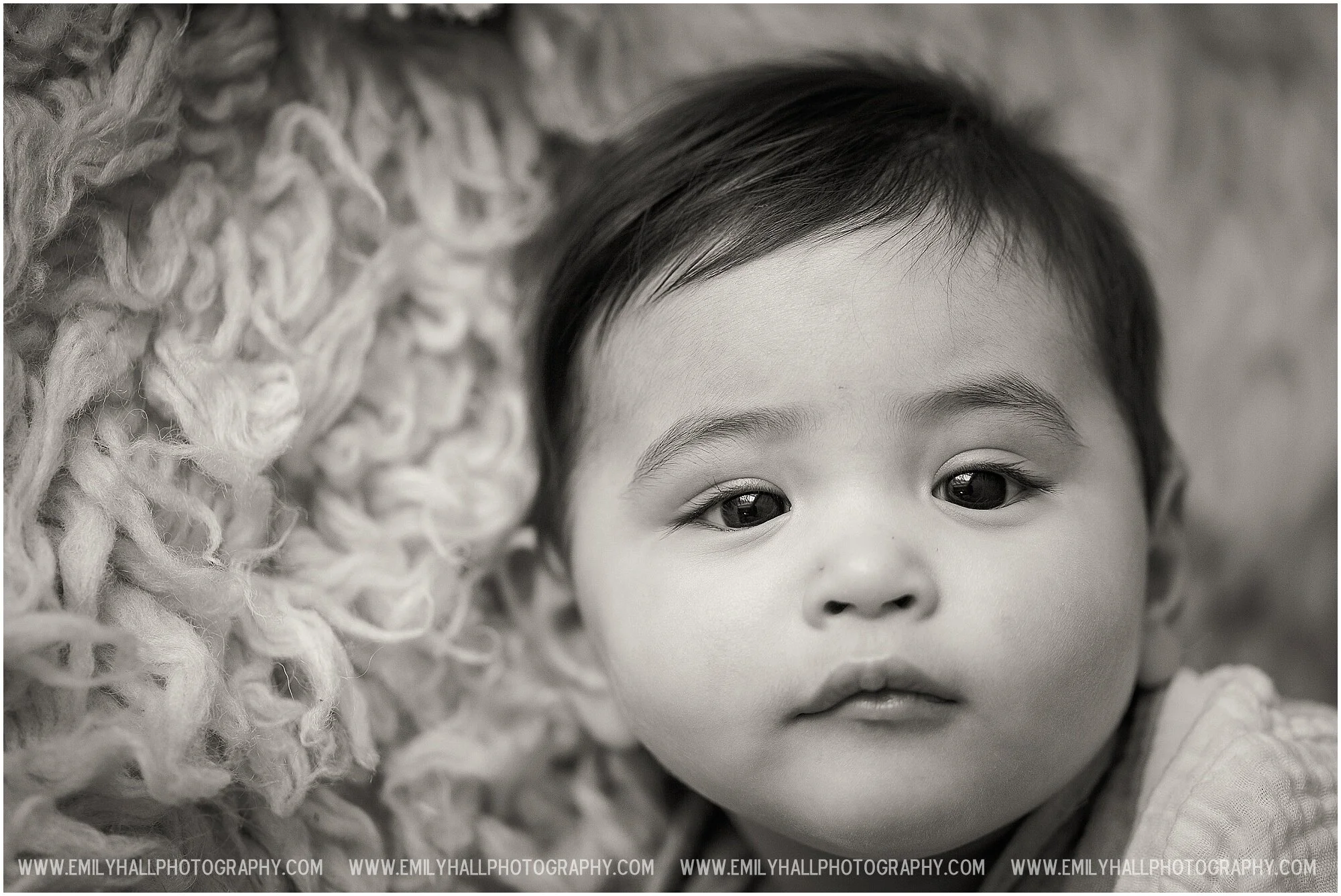 Emily Hall Photography - Baby 6 months-9417-2.jpg