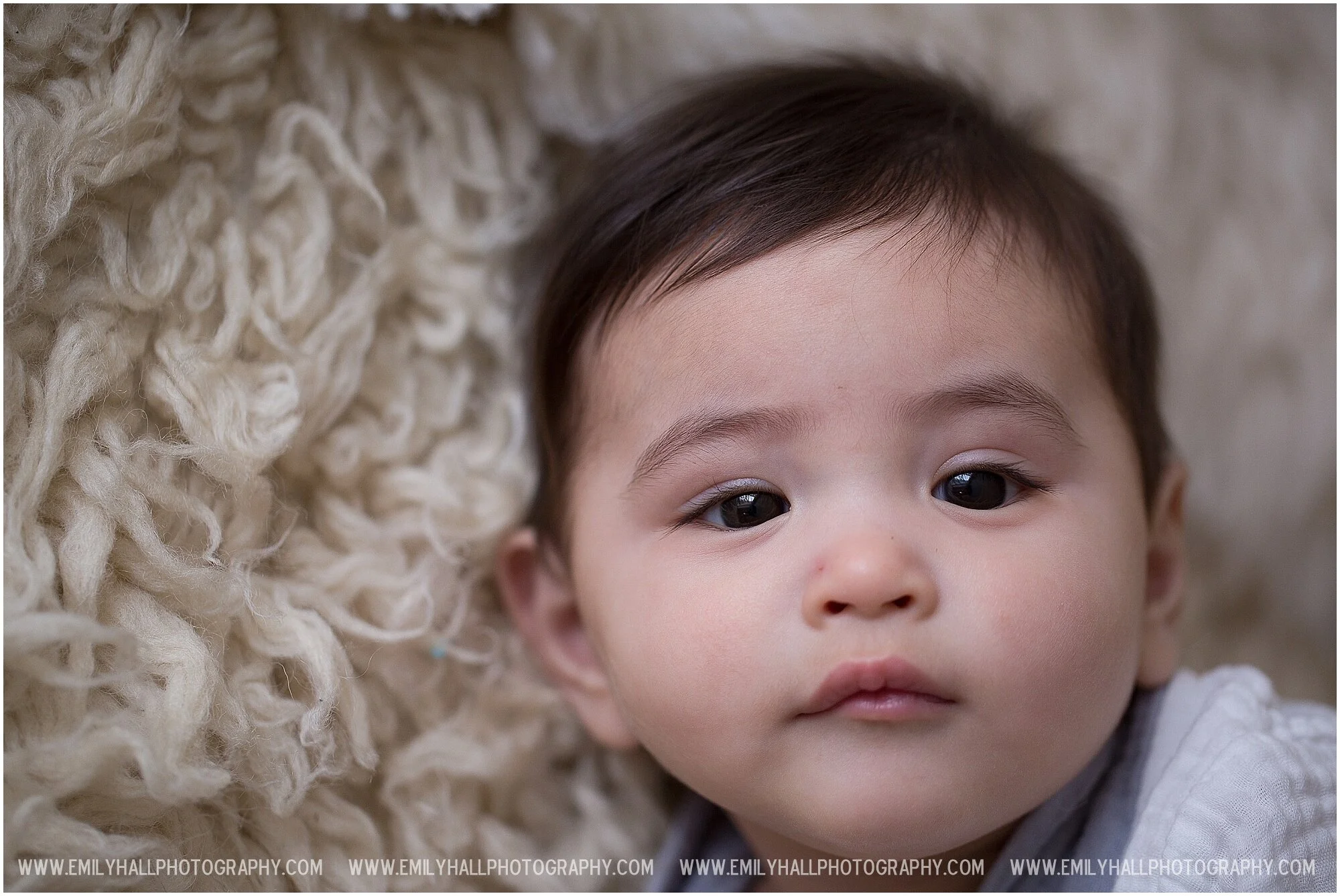 Emily Hall Photography - Baby 6 months-9417.jpg