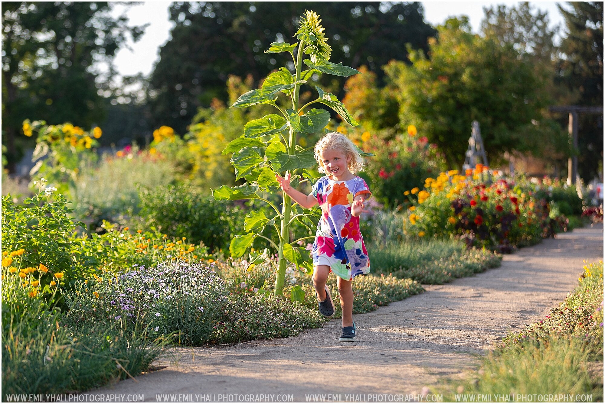 Lifestyle Family Photographer Willamette Valley-7483.jpg