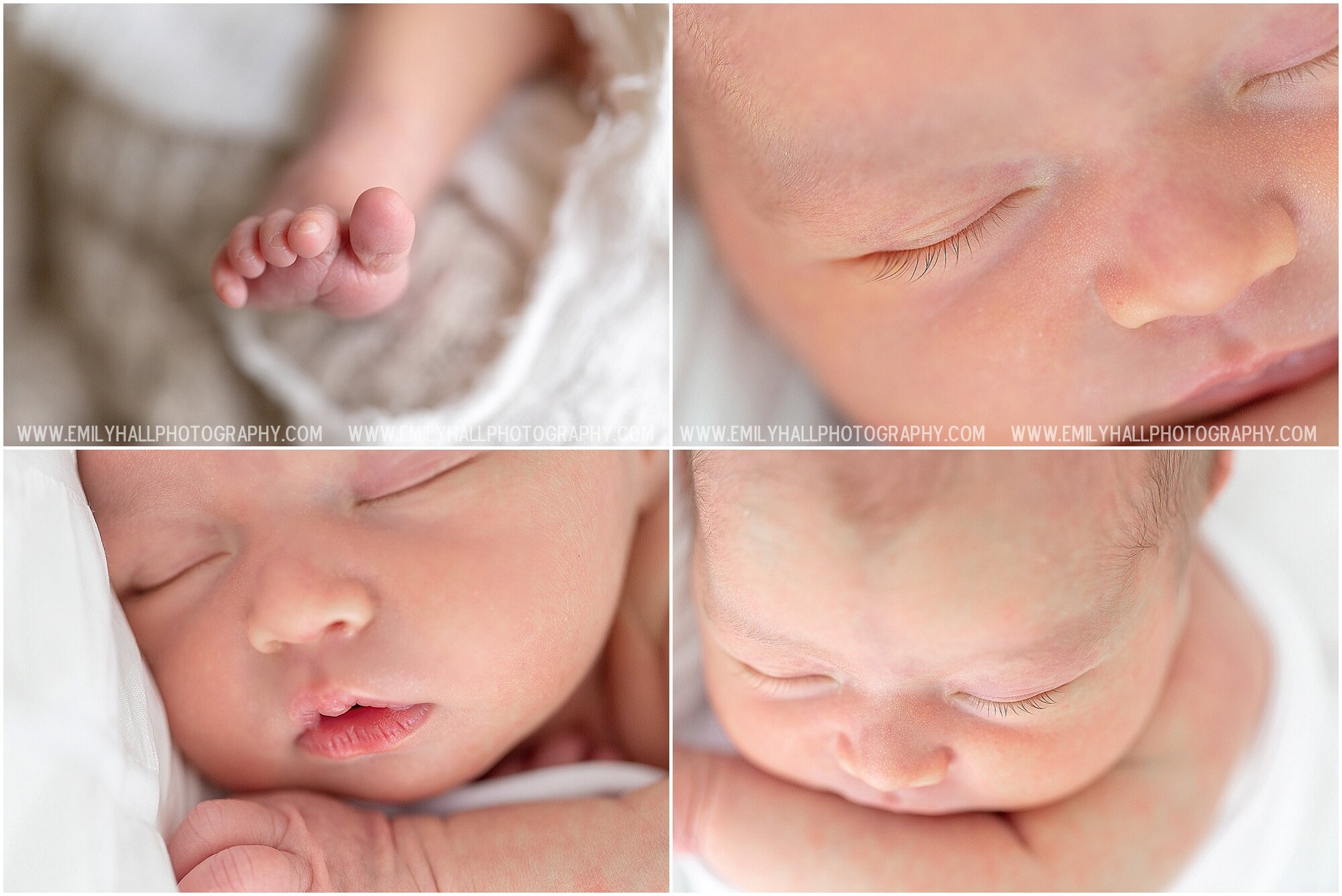 Newborn Photographer Willamette Valley-7116.jpg
