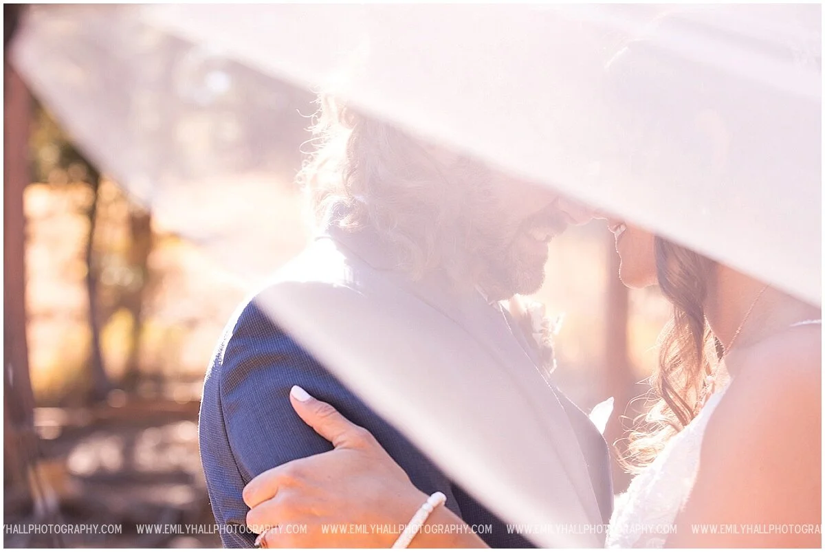 Oregon Wedding Photographer in Colorado-1004.jpg
