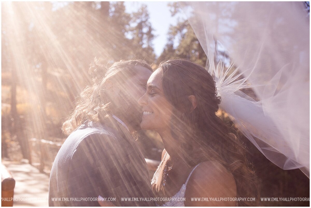 Oregon Wedding Photographer in Colorado-0542.jpg