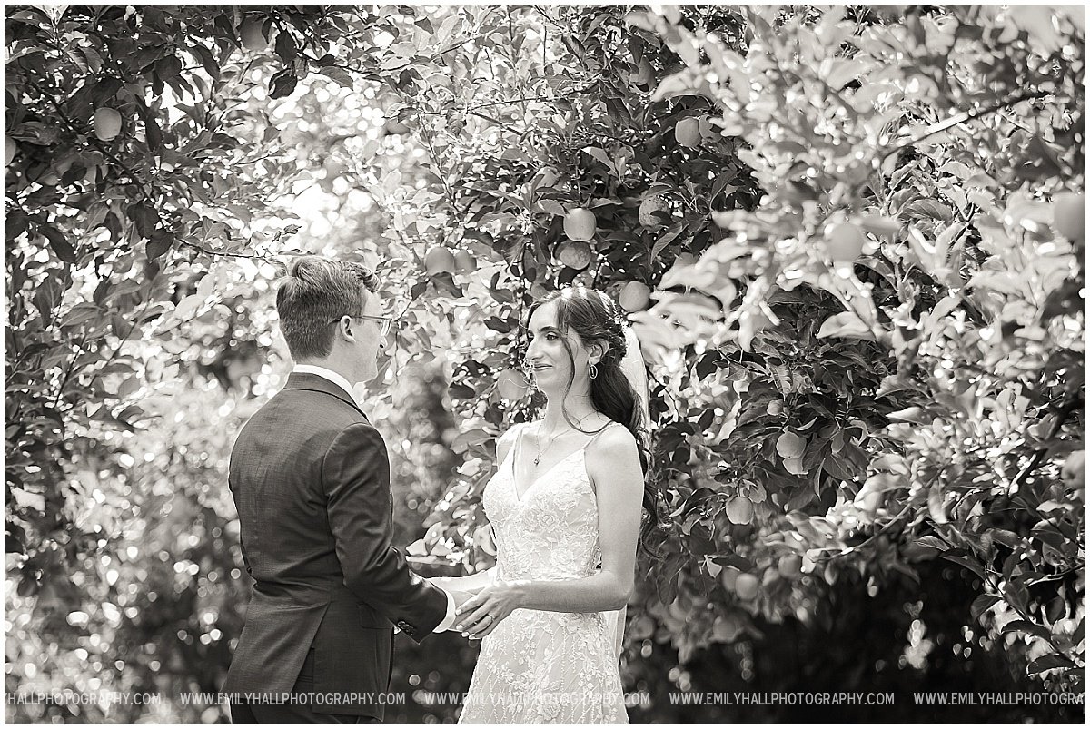 Mt Hood Orchards Wedding-8489.jpg