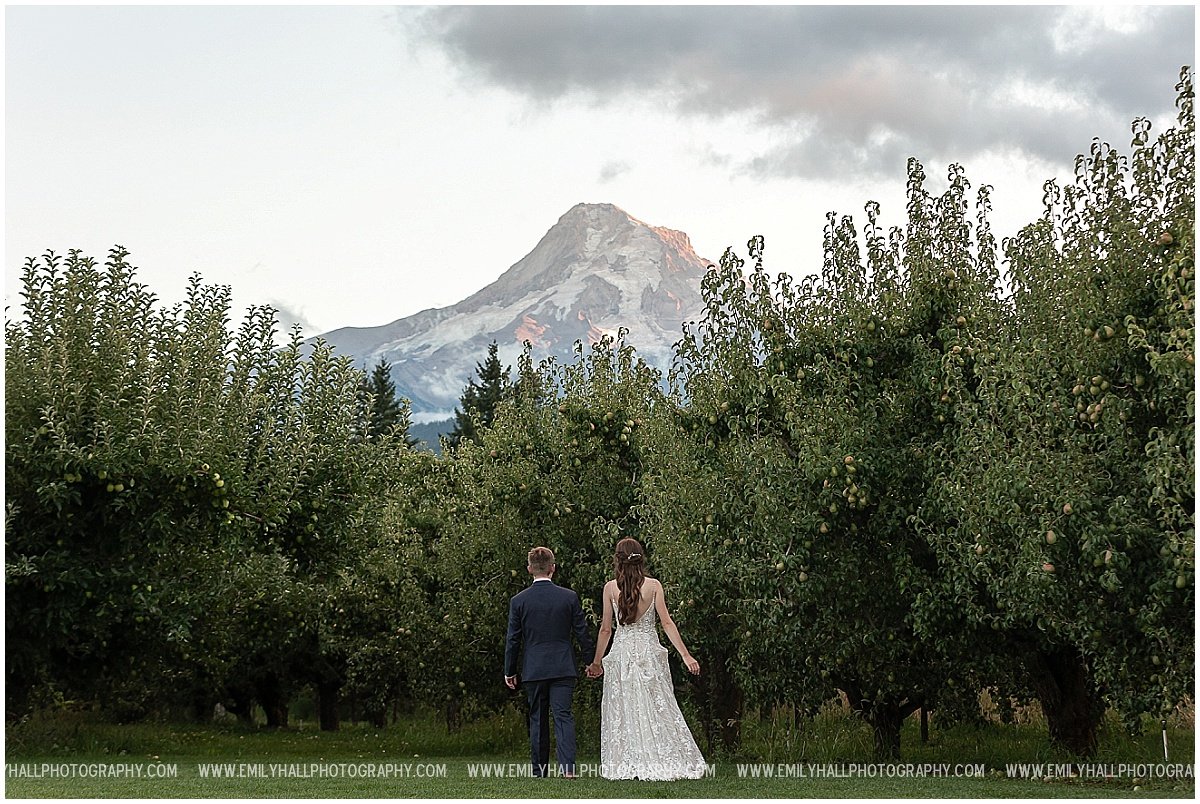 Mt Hood Orchards Wedding-2-12.jpg