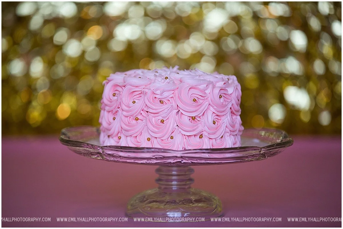 First Birthday Photographer-1187.JPG