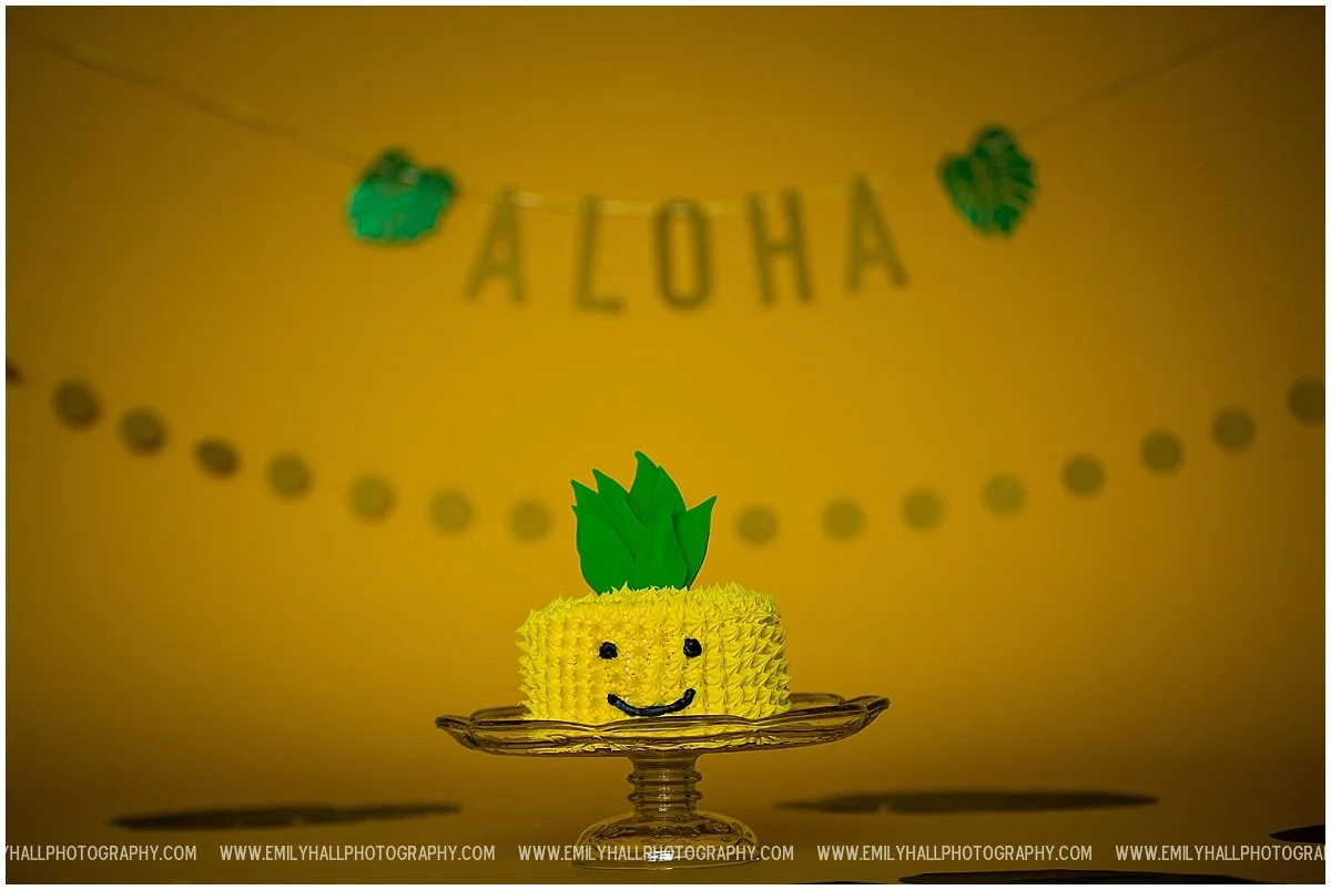 Emily Hall Photography - Cake Smash Portraits-0383.JPG