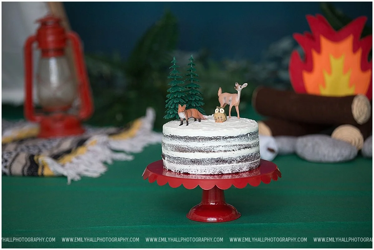 Emily Hall Photography - Cake Smash-9300.jpg