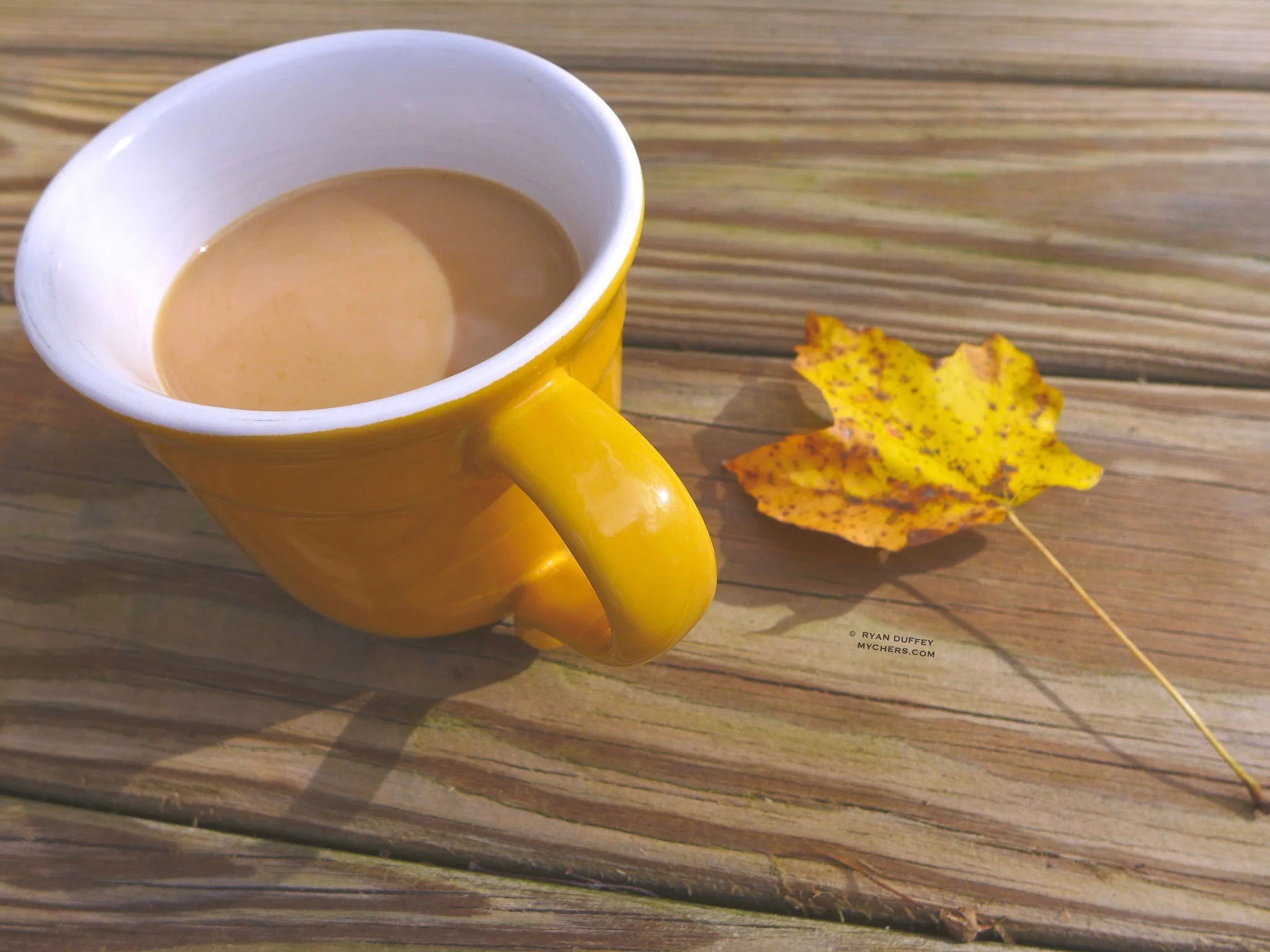 Fall Coffee - Pawling, New York