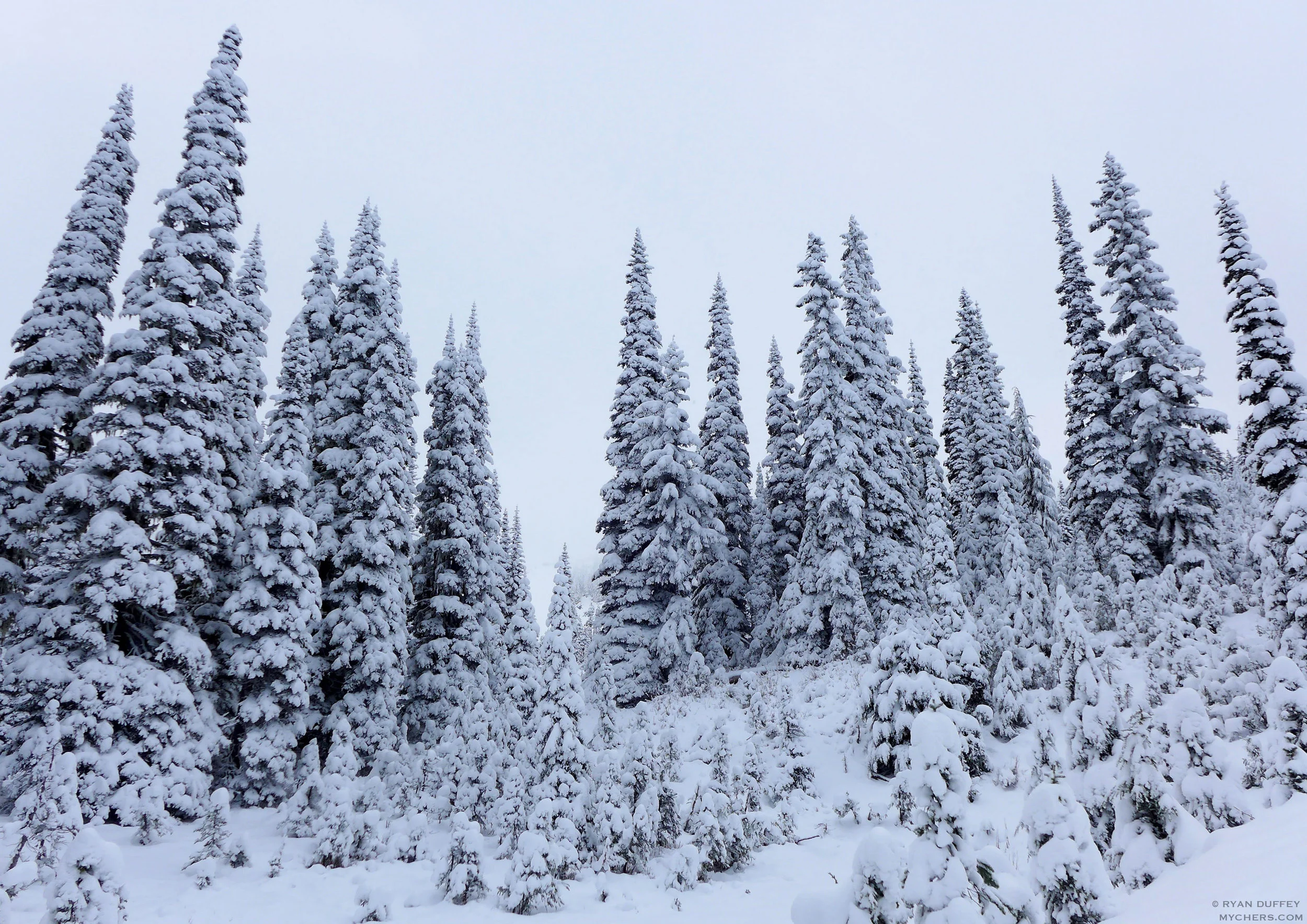 Naches Peak