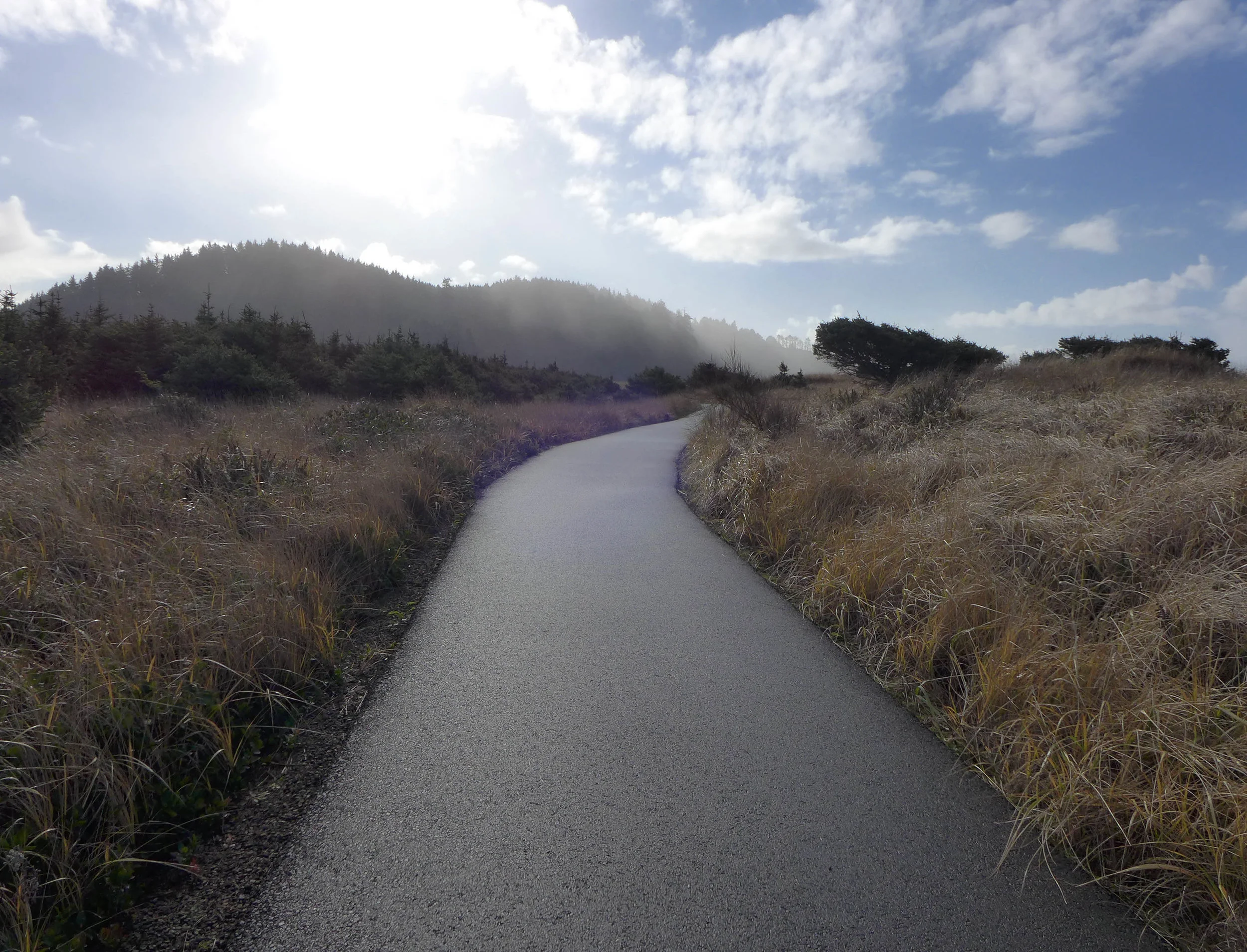Long Beach, Washington