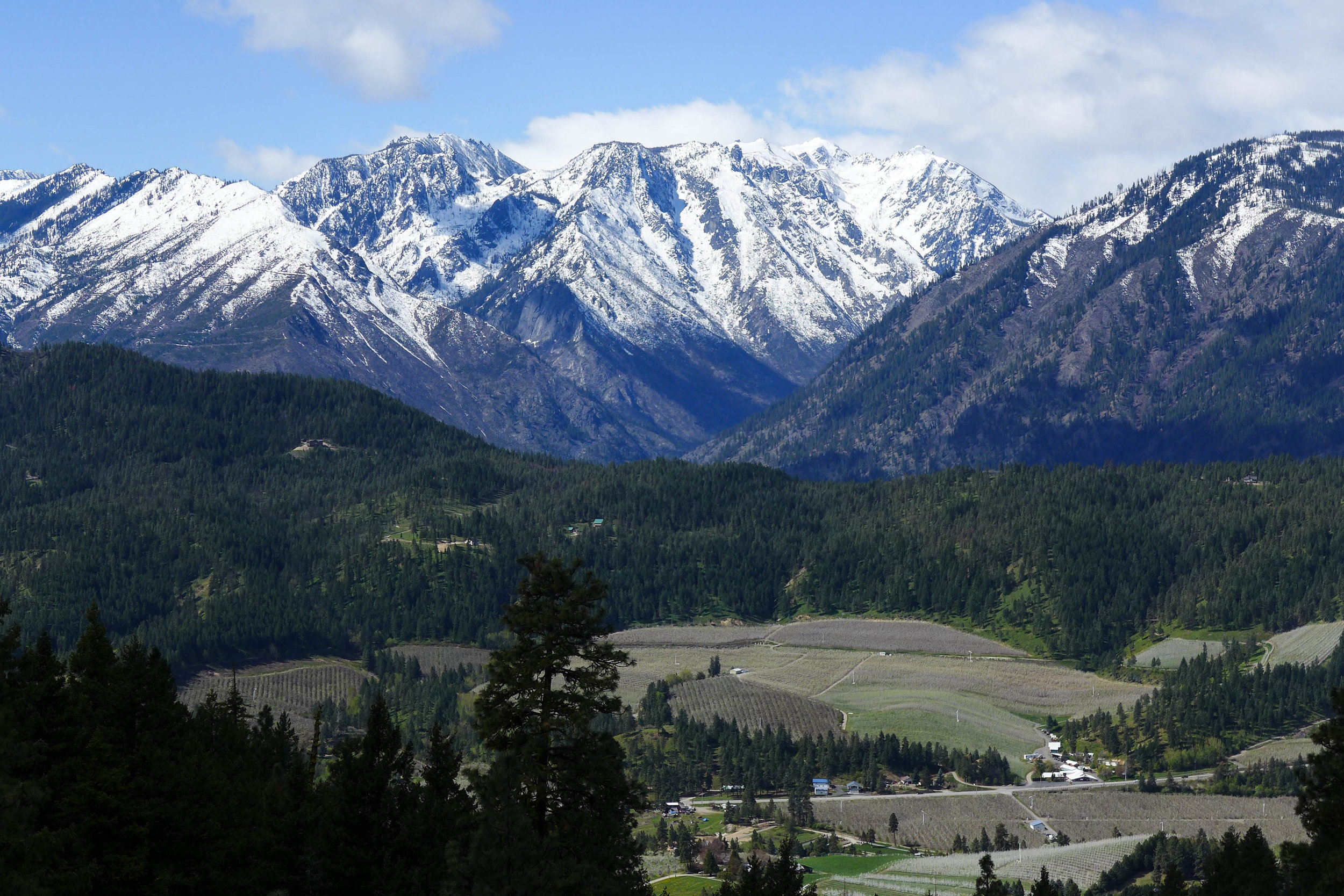 Sauer's Mountain