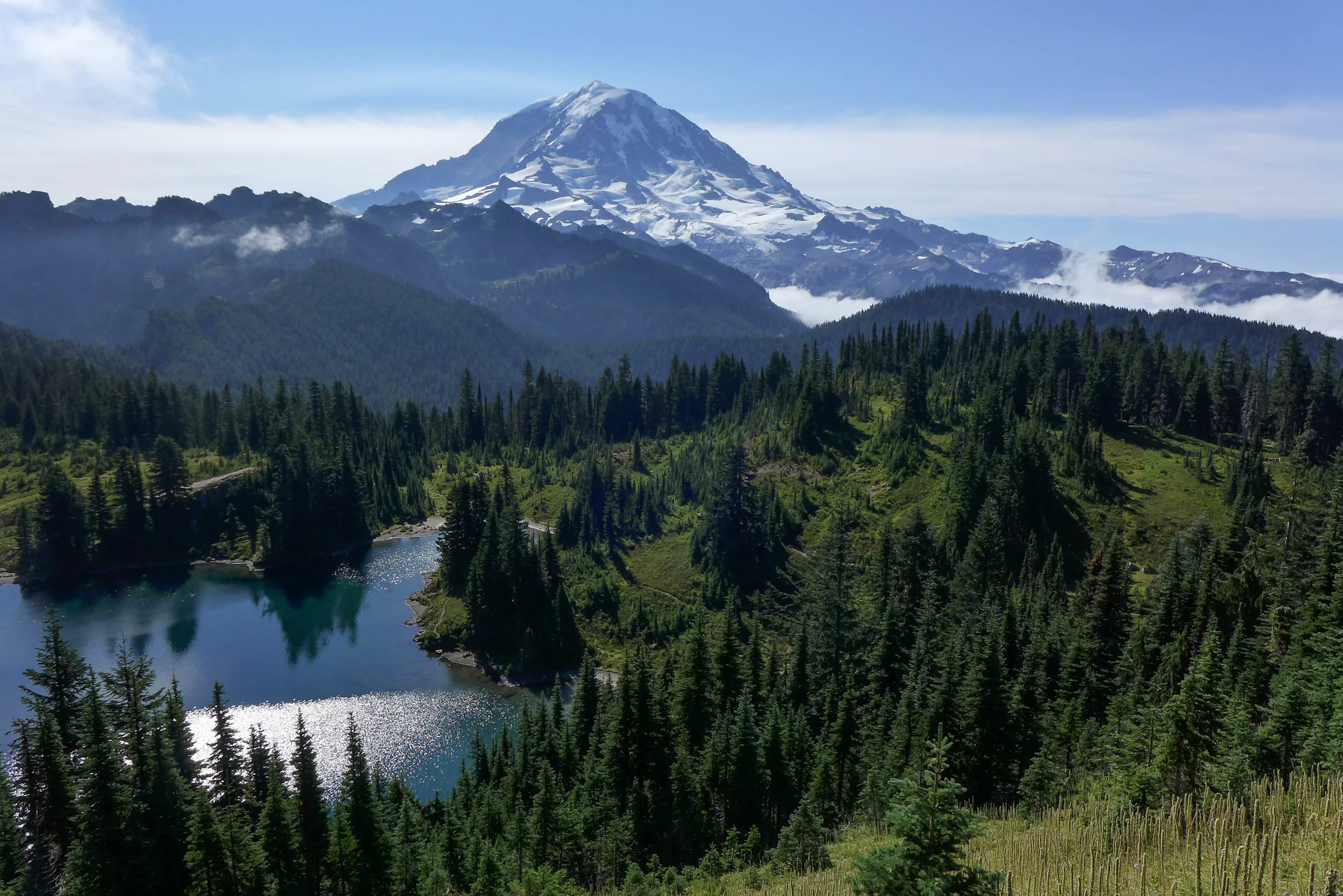 Tolmie Peak
