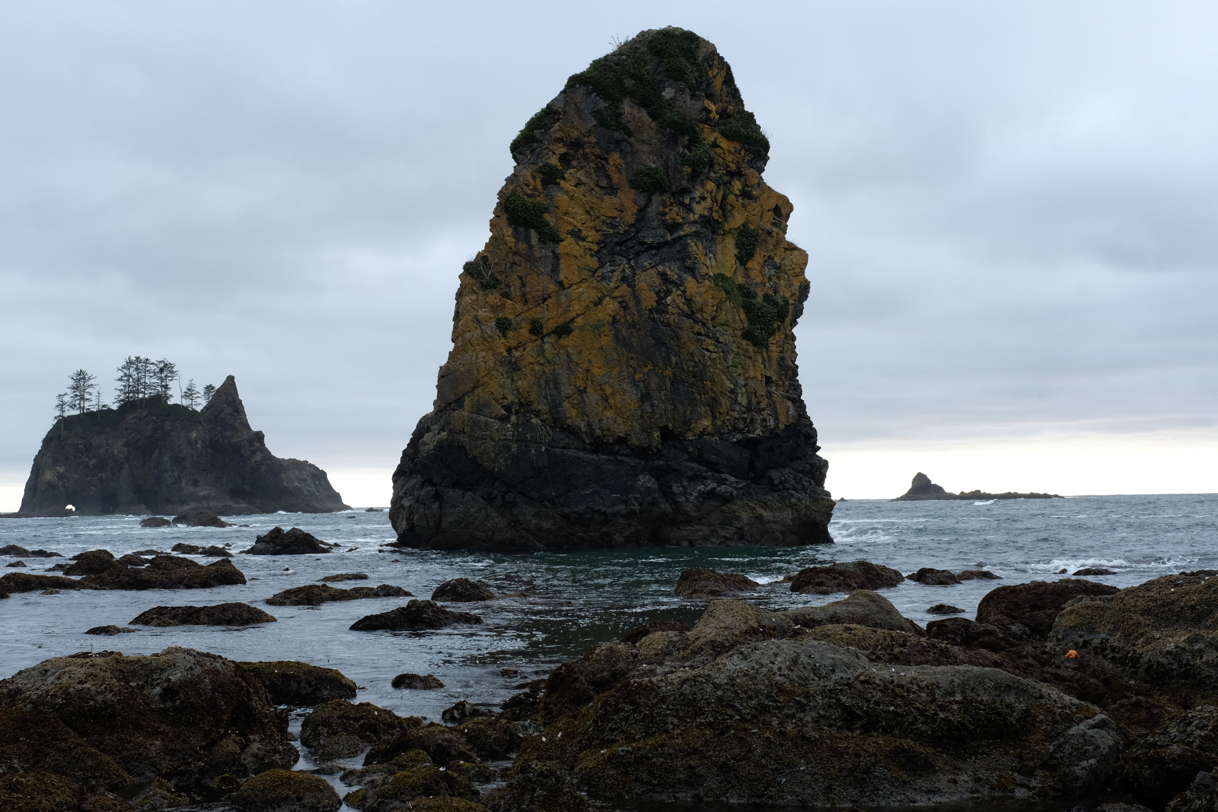 Shi Shi Beach