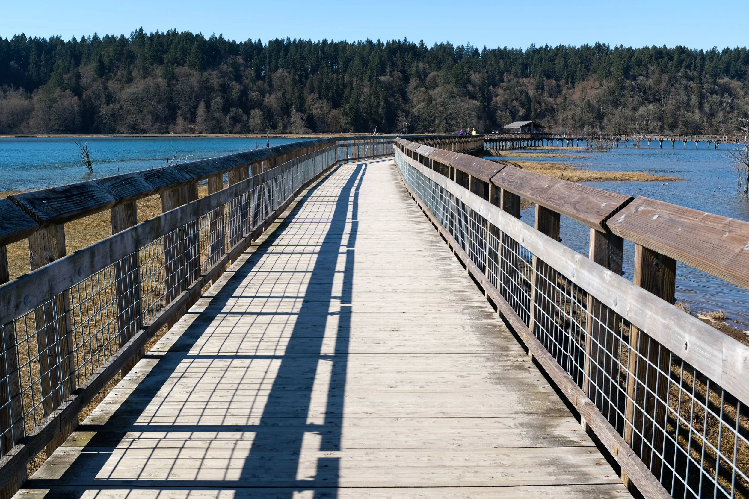 Nisqually National Wildlife Refuge