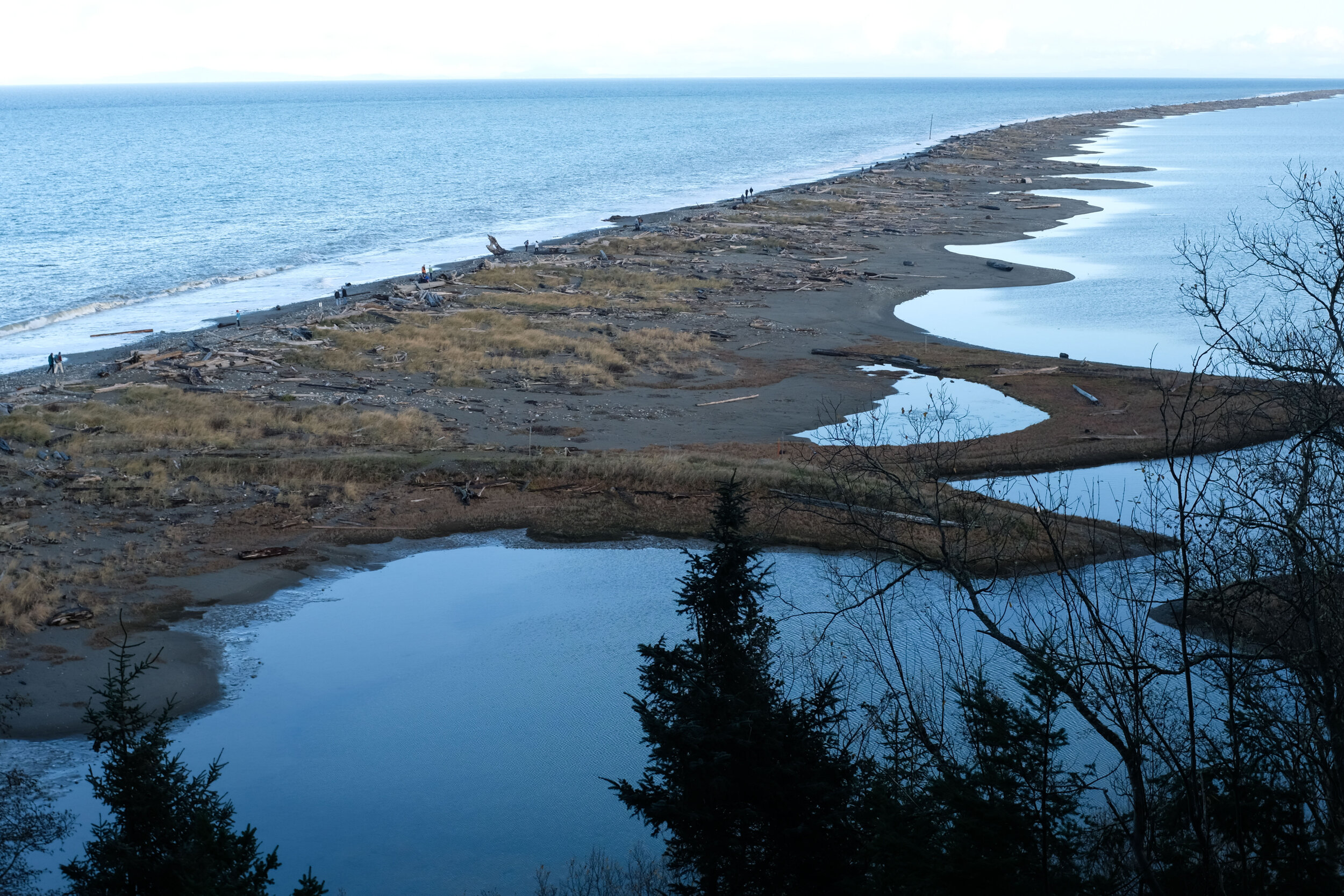 Dungeness Spit