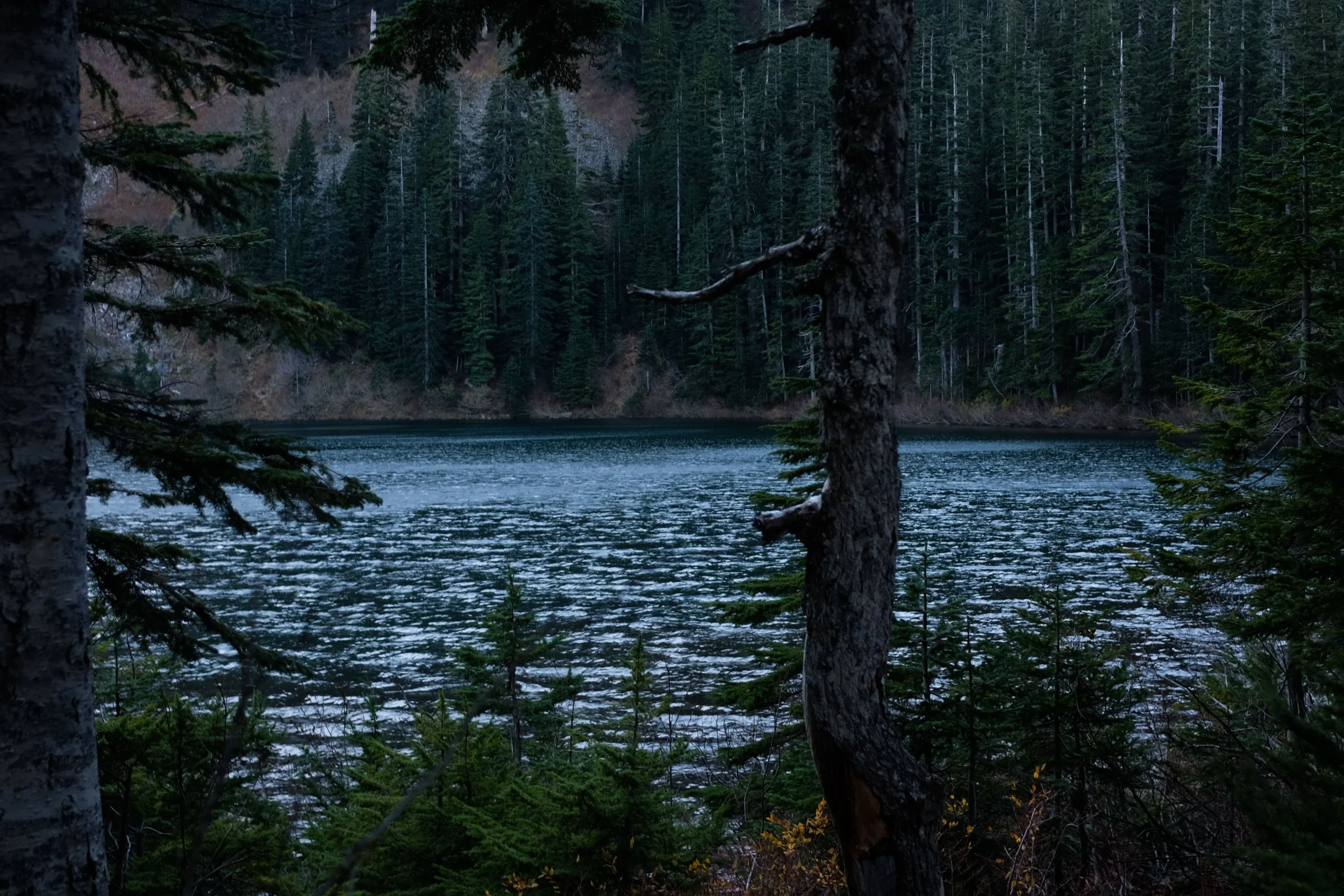 Annette Lake
