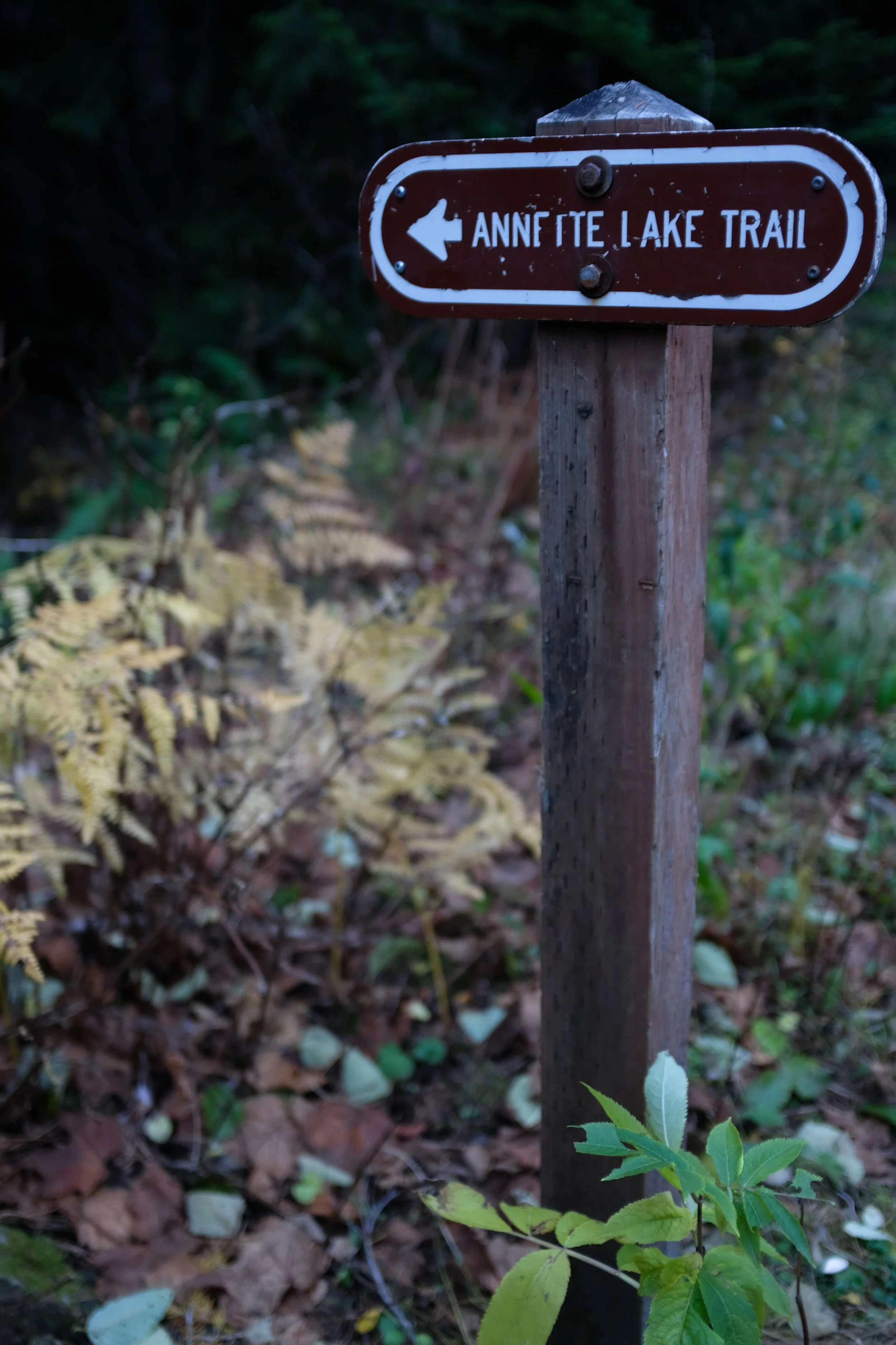 20211031-DSCF3403.jpg