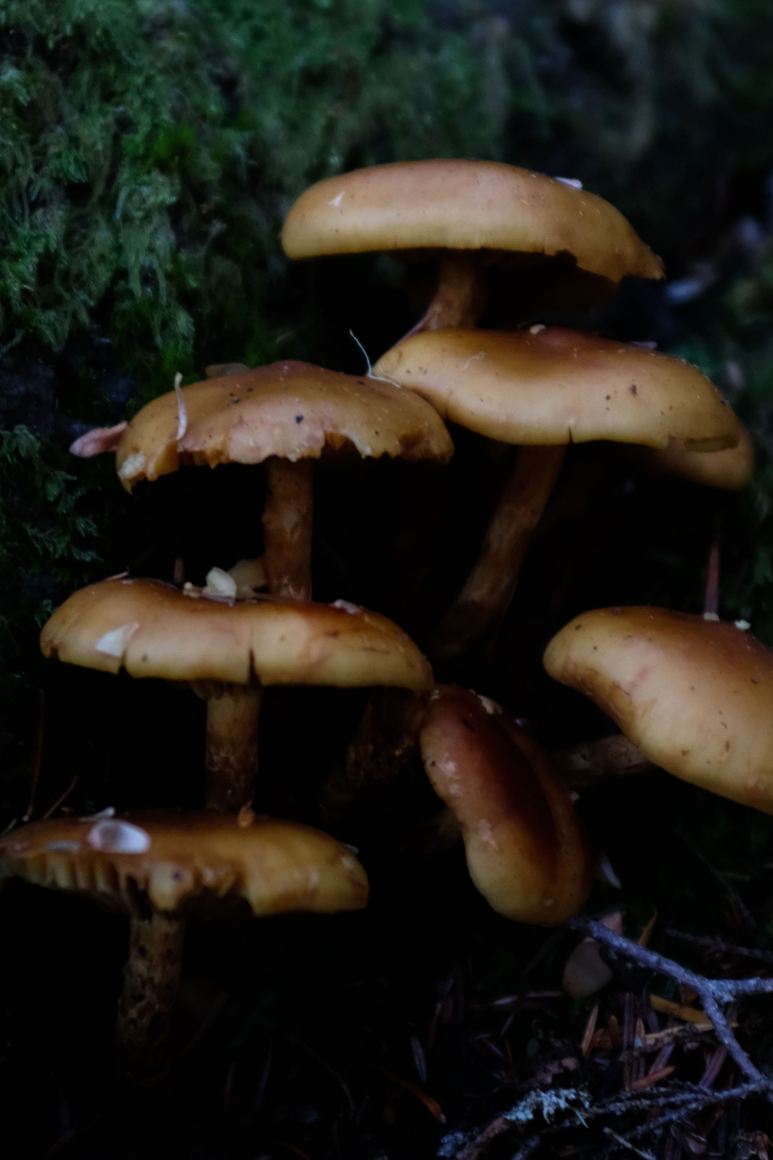 20211031-DSCF3435.jpg