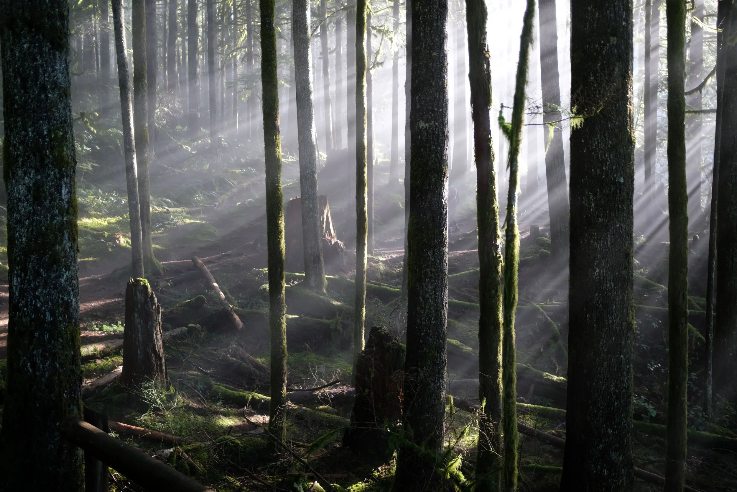 Wallace Falls State Park