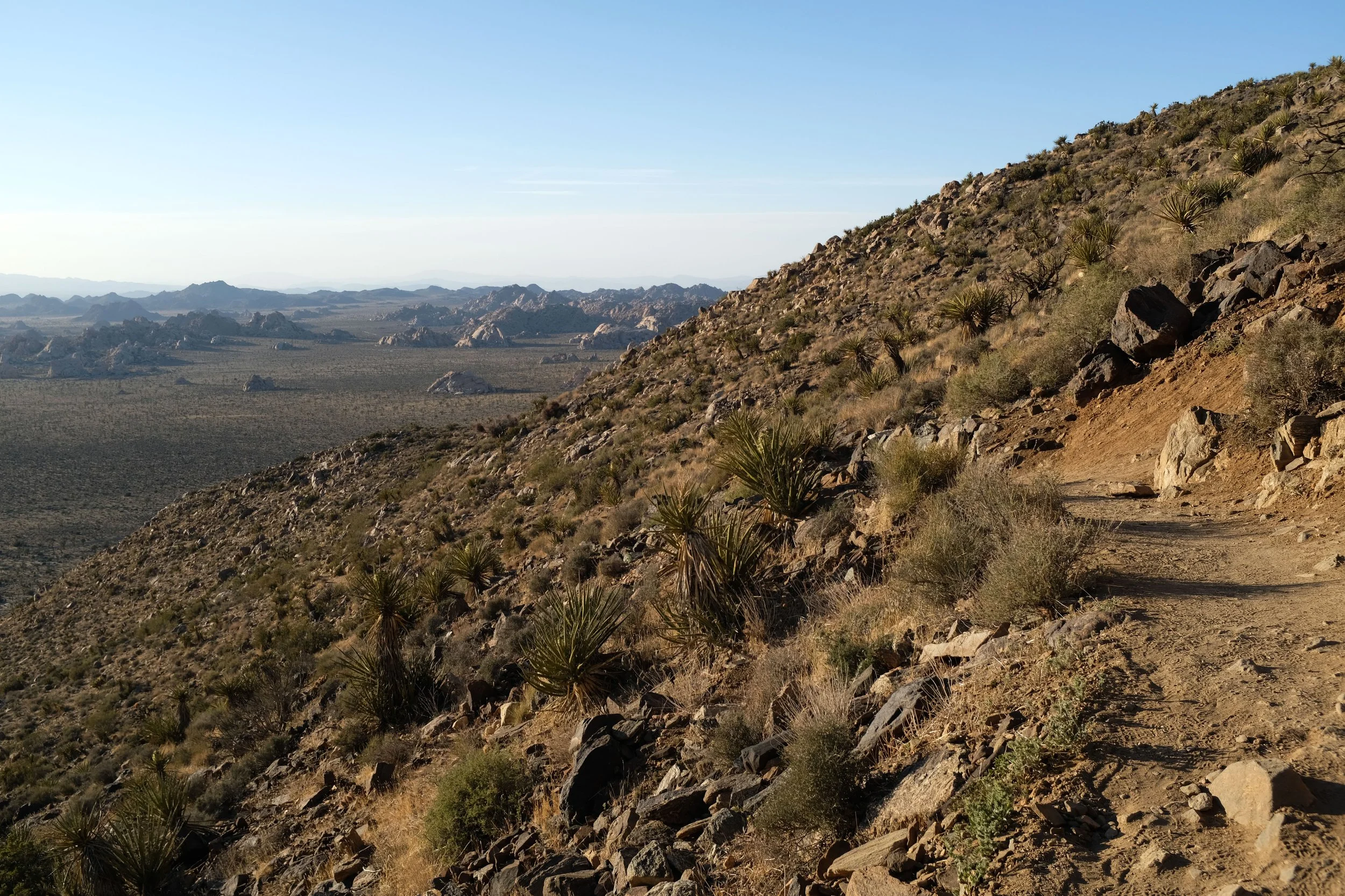 Ryan Mountain
