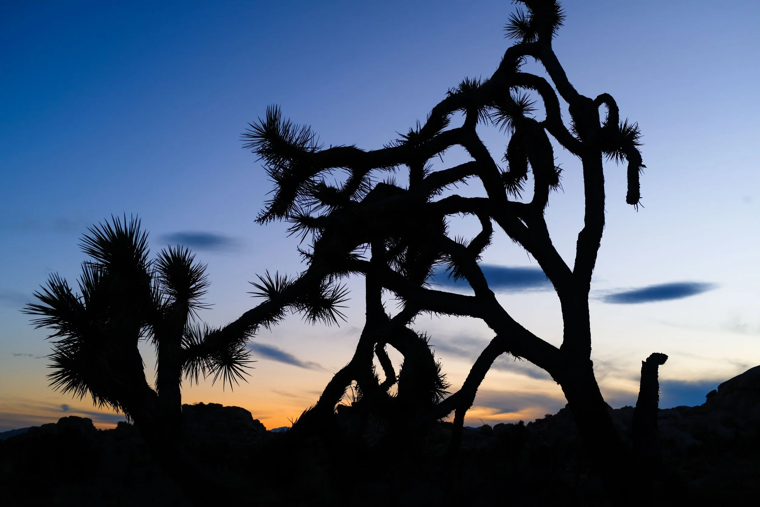 Twentynine Palms, California