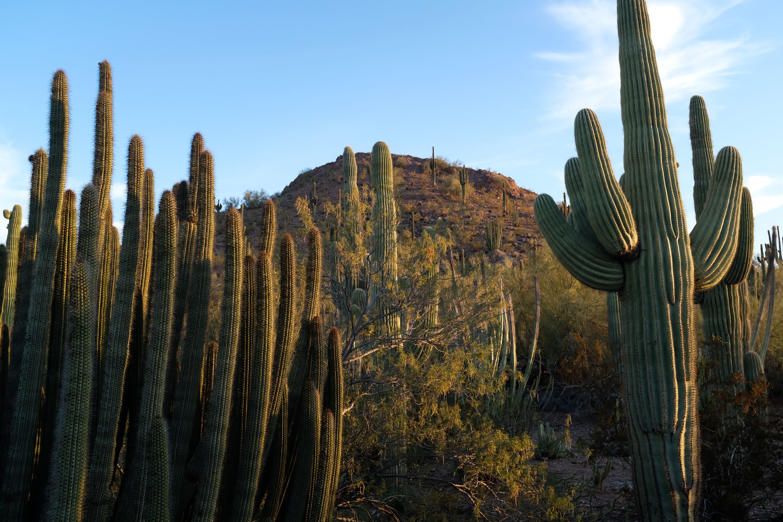 Scottsdale, Arizona