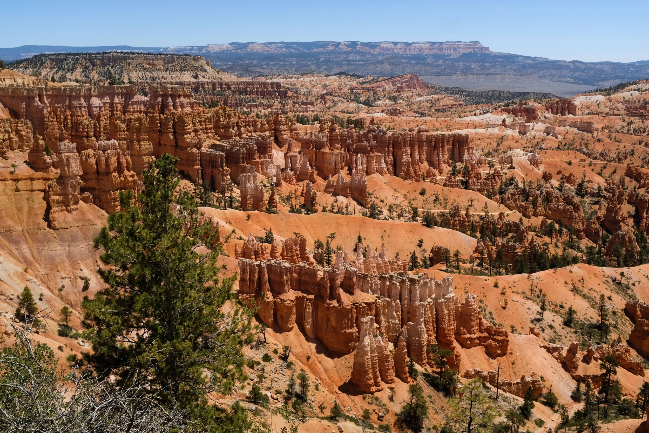 Washington, Utah